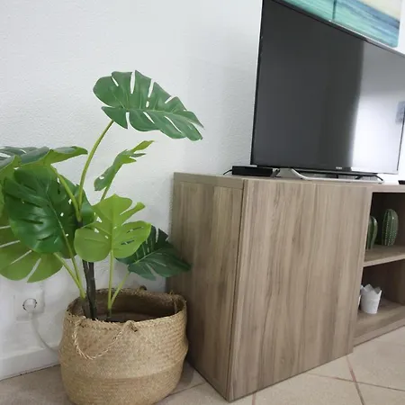 Apartment South